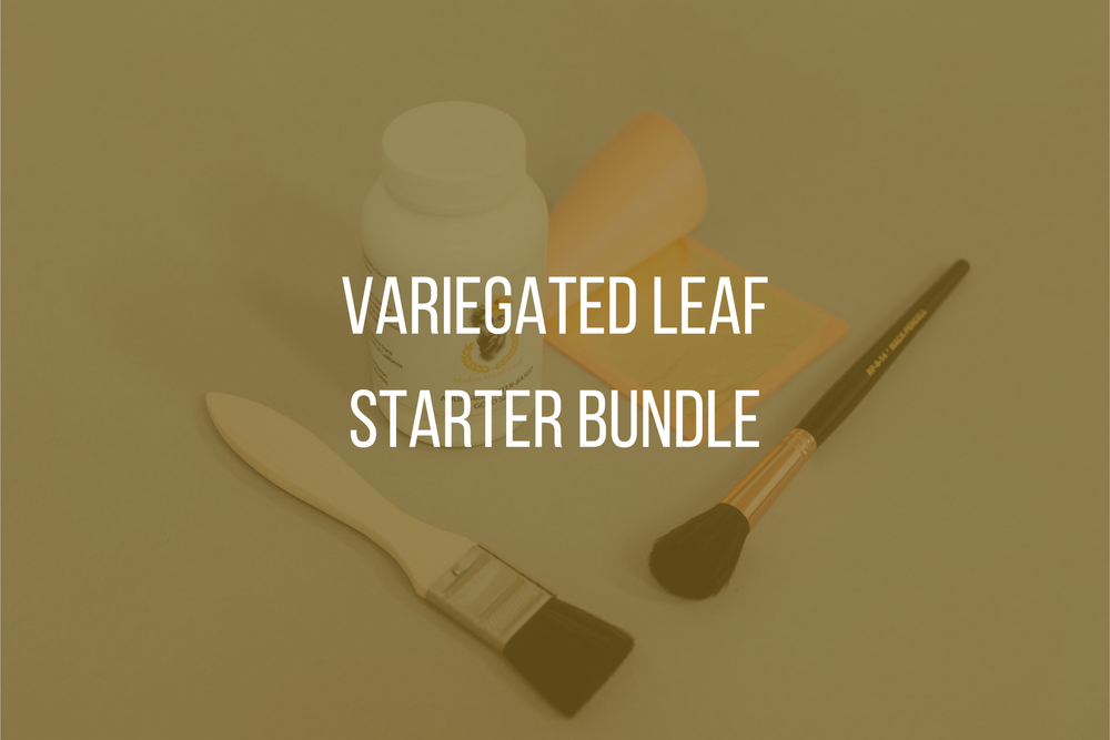 Variegated Leaf Starter Bundle